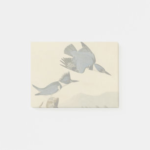 Post-it® Audubon Belted Kingfisher Wildlife Bird