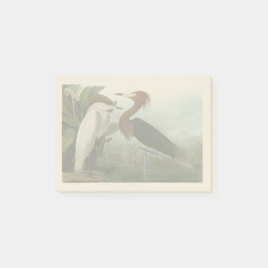 Post-it® Audubon Héron Pourpré Aigrette Rousse Impression : (Devant)