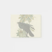 Post-it® Audubon Raven Oiseau classique (Devant)