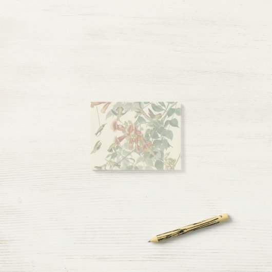 Post-it® Audubon Throsé de colibri (Sur un bureau)