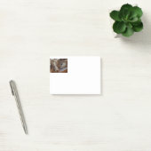 Post-it® australian shepherd red merle sleeping (Bureau)
