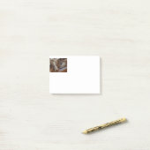 Post-it® australian shepherd red merle sleeping (Sur un bureau)