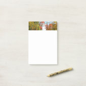 Post-it® Automnes Arbres et Ciel bleu Automne Photographie  (Sur un bureau)