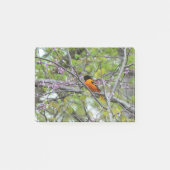 Post-it® Baltimore Oriole (Devant)