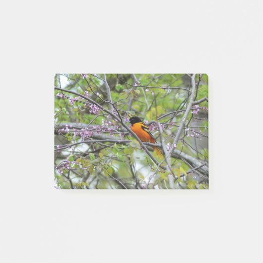 Post-it® Baltimore Oriole (Devant)