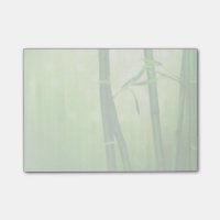 Bambou Vert Avec Lumières De Bokeh Pâles À L'Arriè