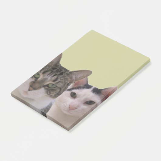 Post-it® Bande de chat amusante (Incliné)