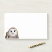 Post-it® Barn Owl Photo 10x6 Notes Papeterie (Sur un bureau)