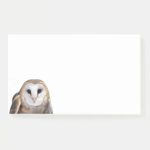 Post-it® Barn Owl Photo 10x6 Notes Papeterie
