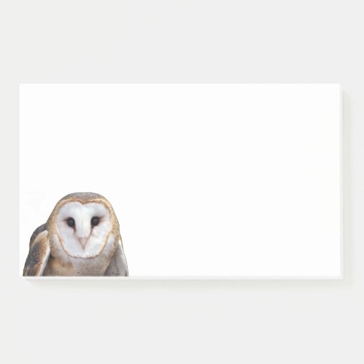 Post-it® Barn Owl Photo 10x6 Notes Papeterie (Devant)