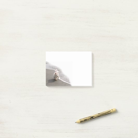 Post-it® Beachcombing Westie Photo 4x3 Notes (Sur un bureau)