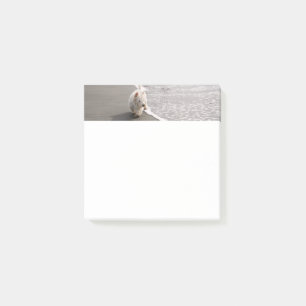 Post-it® Beachcombing White Westie Chien Photo Papeterie