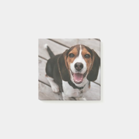 Post-it® Beagle_puppy assis (Devant)