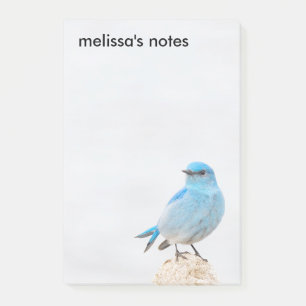 Post-it® Beau oiseau bleu de montagne