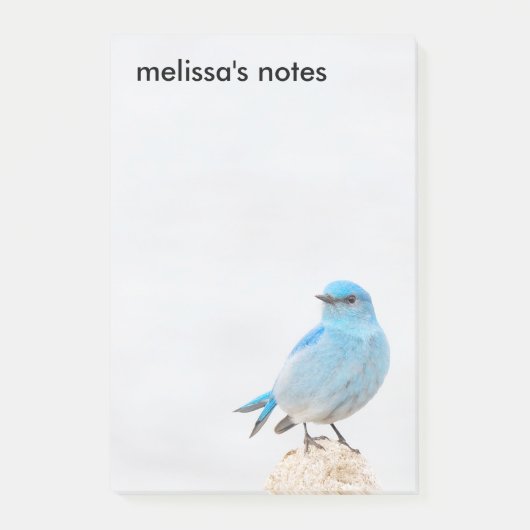 Post-it® Beau oiseau bleu de montagne (Devant)