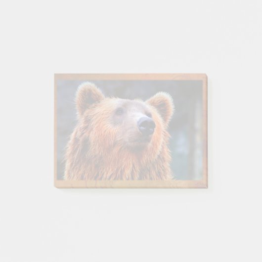 Post-it® Beau Portrait d'ours Brown Faune Photo (Devant)