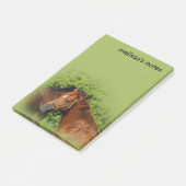 Post-it® Beaux Chevaux de Châtaignier au soleil d'été (Incliné)