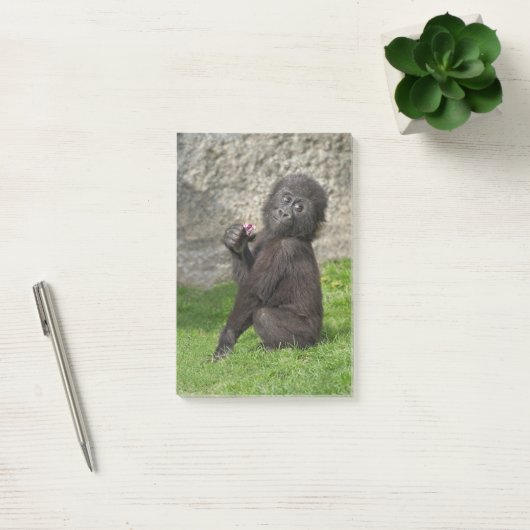 Post-it® Bébé mignon Gorilla (Bureau)