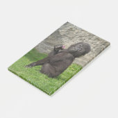 Post-it® Bébé mignon Gorilla (Incliné)