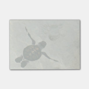 Post-it® Bébé tortue de mer nageant en mer