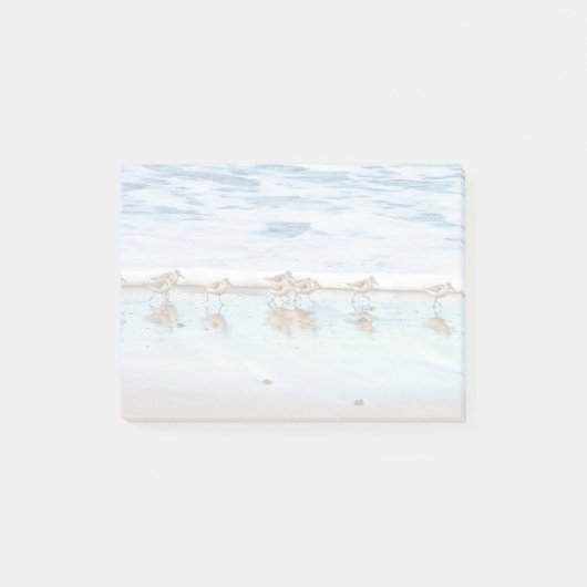 Post-it® Bécasseaux fonctionnant le long de la plage (Devant)