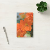 Post-it® Bégonias oranges (Bureau)