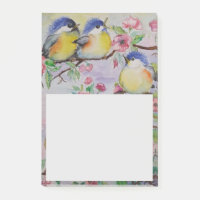 Belle Éperviers Notes collantes Petits oiseaux
