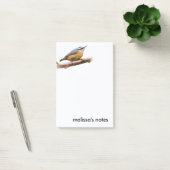 Post-it® Belle Nuthatch à poitrine rouge sur une branche (Bureau)