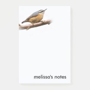 Post-it® Belle Nuthatch à poitrine rouge sur une branche