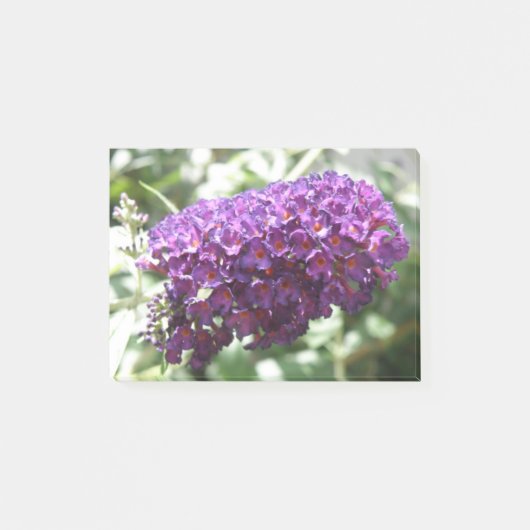 Post-it® Belles fleurs de bouddleia violet Post it notes (Devant)