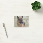 Post-it® Berger allemand adorable (Bureau)