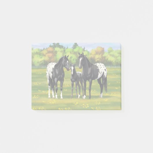 Post-it® Black Appaloosa Horses In Summer Pasture (Devant)