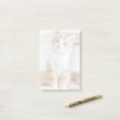Post-it® Bleu doux Kitty (Sur un bureau)