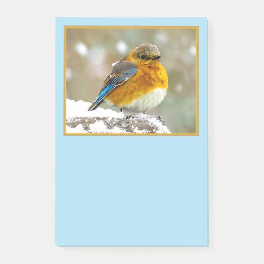Post-it® Bleuet de l'Est en neige - Photo originale (Devant)