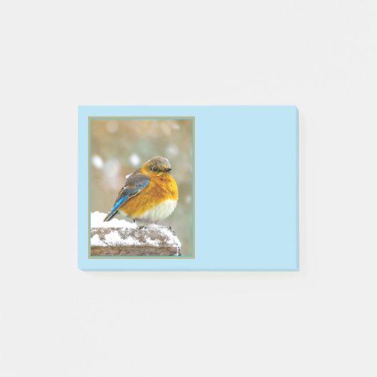 Post-it® Bleuet de l'Est en neige - Photo originale (Devant)