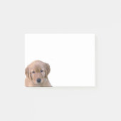 Post-it® Bloc-notes de post-it de golden retriever (Devant)
