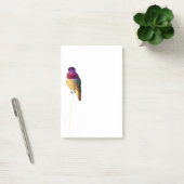 Post-it® Bloc-notes photo de Colibri d'Anna 4x6 (Bureau)