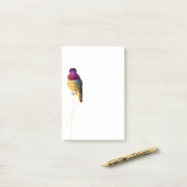 Post-it® Bloc-notes photo de Colibri d'Anna 4x6 (Sur un bureau)
