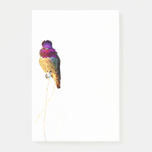 Post-it® Bloc-notes photo de Colibri d'Anna 4x6 (Devant)