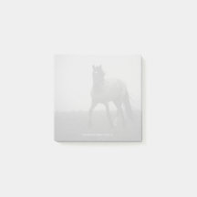 Blue Roan Mist - Notes 3" x 3"