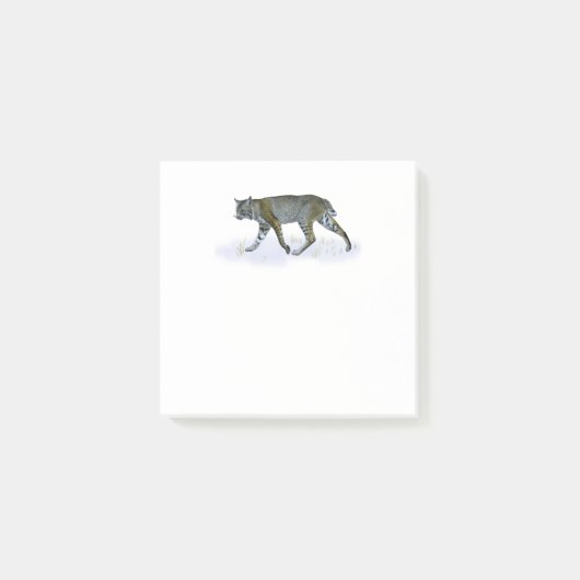 Post-it® Bobcat (Devant)