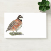 Post-it® Bobwhite Quail (Bureau)