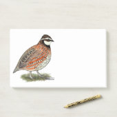 Post-it® Bobwhite Quail (Sur un bureau)