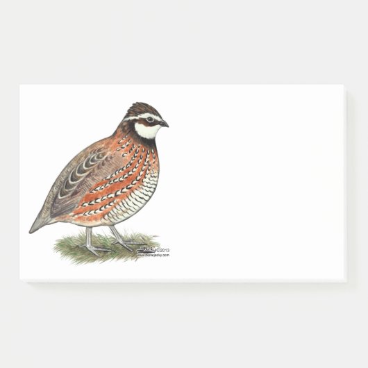 Post-it® Bobwhite Quail (Devant)