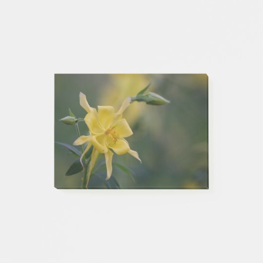 Post-it® Bonjour jaune (Devant)