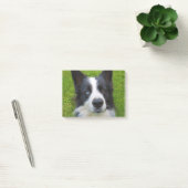 Post-it® Bordure Collie (Bureau)