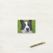 Post-it® Bordure Collie (Sur un bureau)