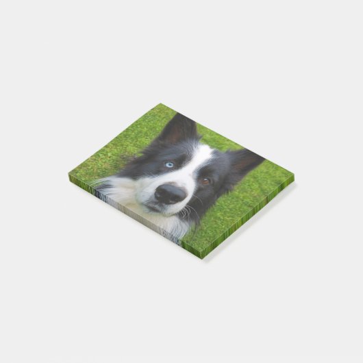 Post-it® Bordure Collie (Incliné)