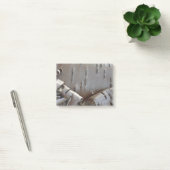 Post-it® Bouleau courbe écorce rustique (Bureau)