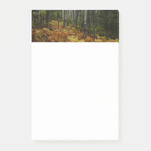 Post-it® Bouleaux blancs et fougères d'automne aux montagne